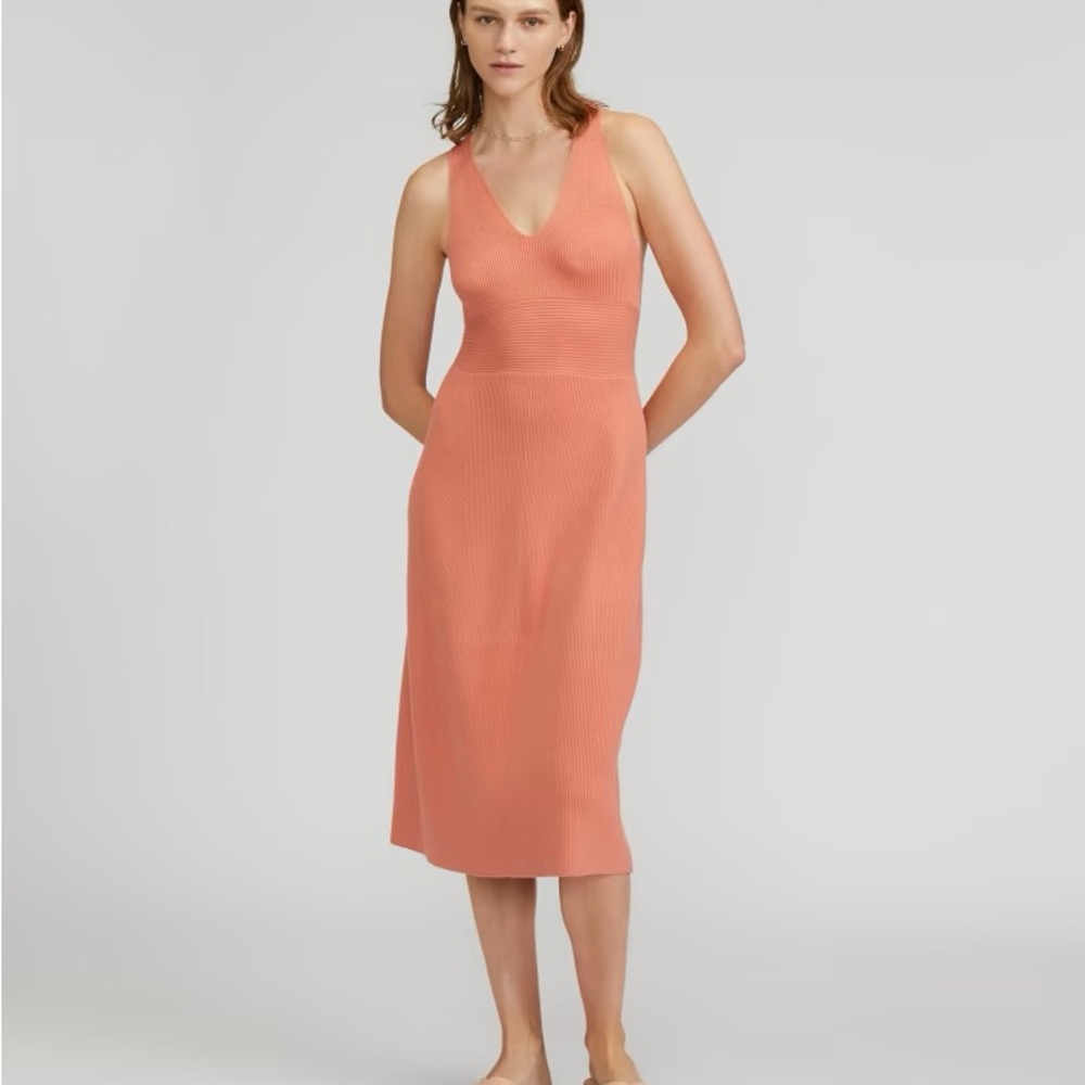 Tawny pink ribbed knit everlane dress